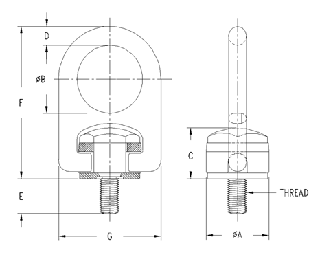 Forged Swivel Hoist Rings
