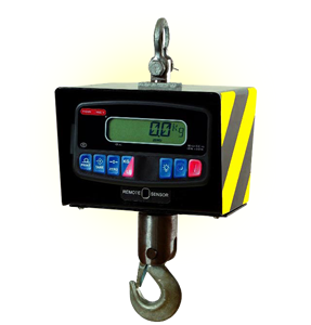 CRS Series Scale