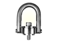 Stainless Steel Hoist Rings